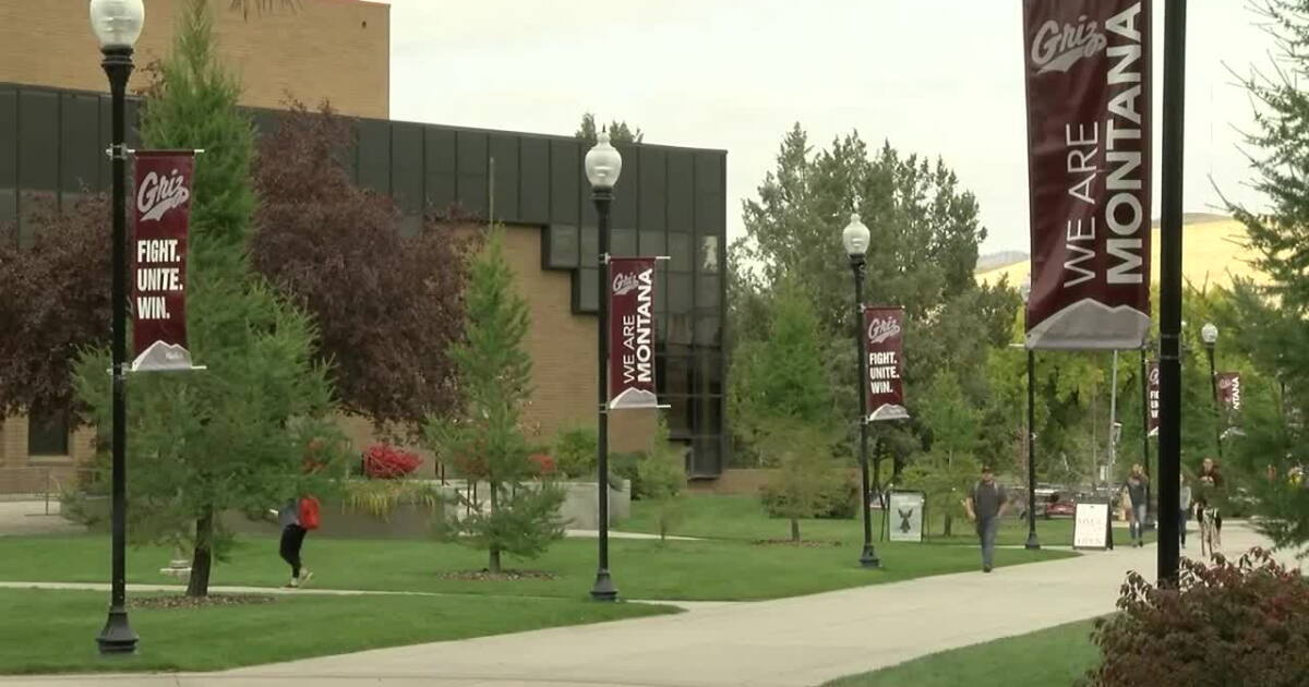 Small bear spotted on University of Montana campus - Vimarsana News