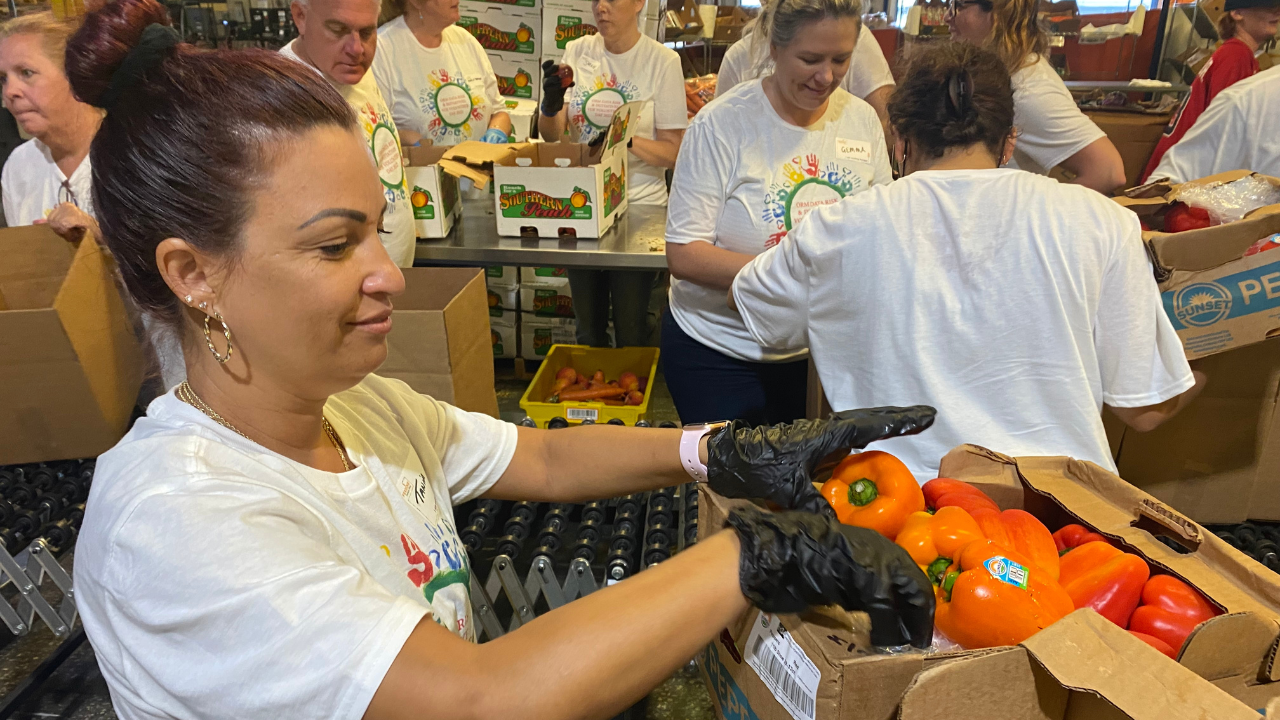 Feeding Tampa Bay 4.png