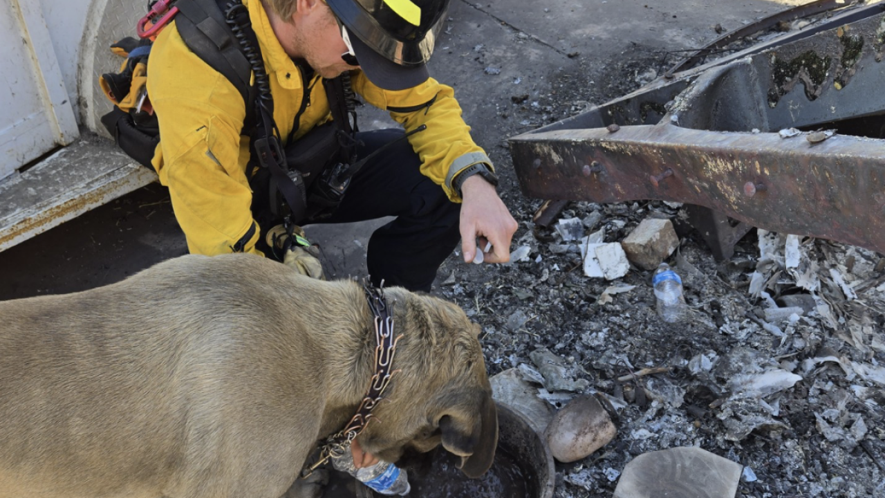 cvfd palisades 2.png