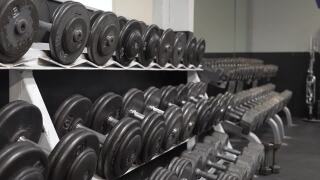 Gym Dumbbells