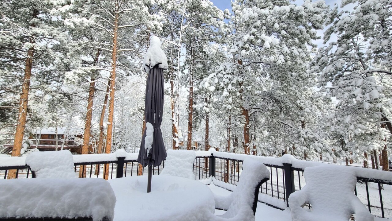 Carol McCallister Woodland Park snow