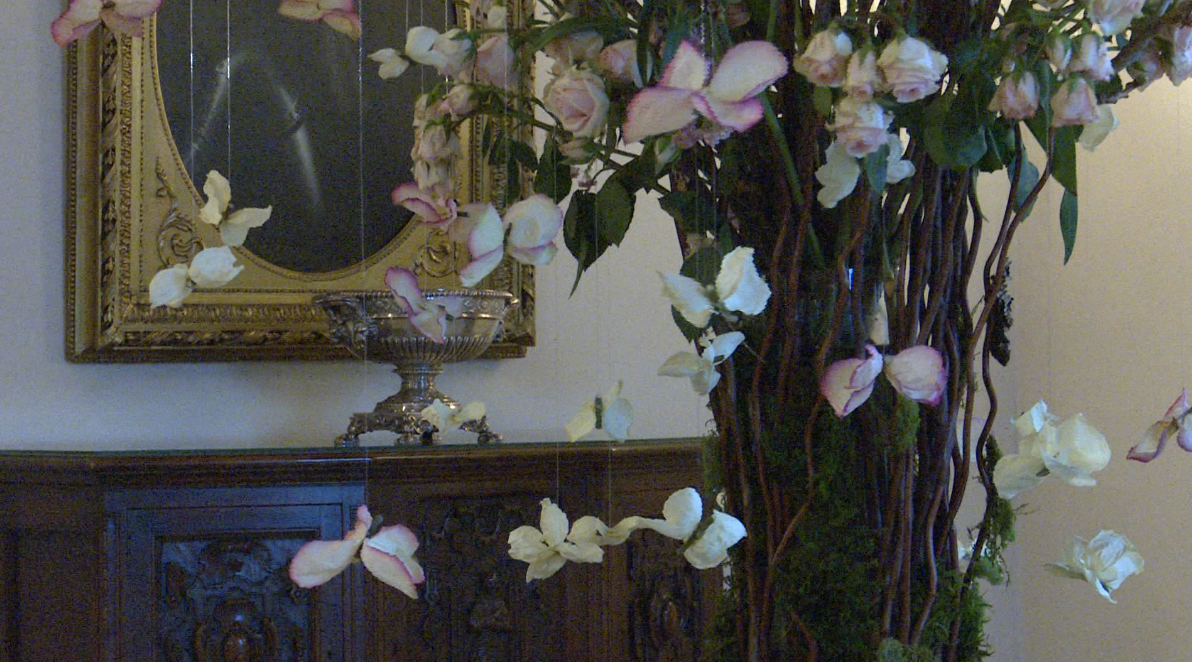 Rooms of Blooms: A burst of spring in winter's dreariness