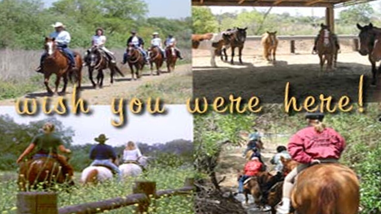 Exploring San Diego By Horseback