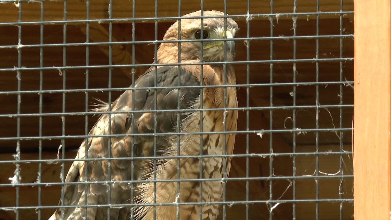 indy parks corps 2.jpg