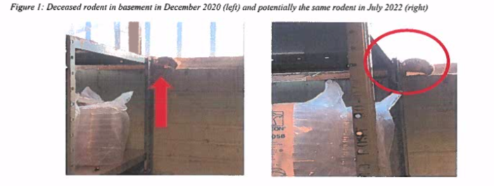 Dead rodent, bug infestation continues to impact Baltimore sex health clinic