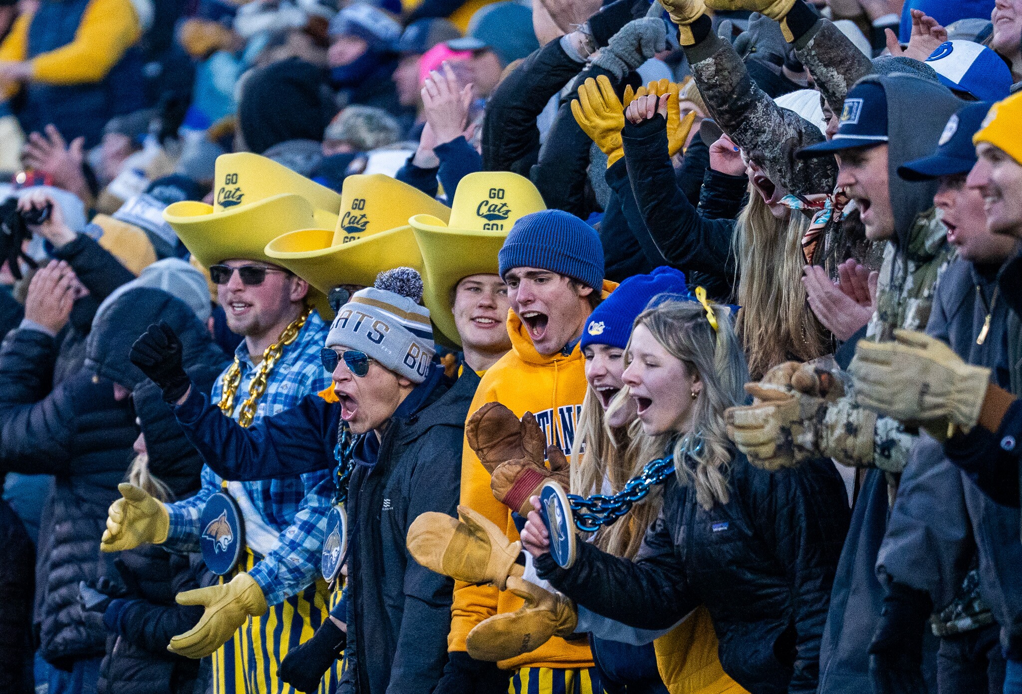 Montana vs. Montana State