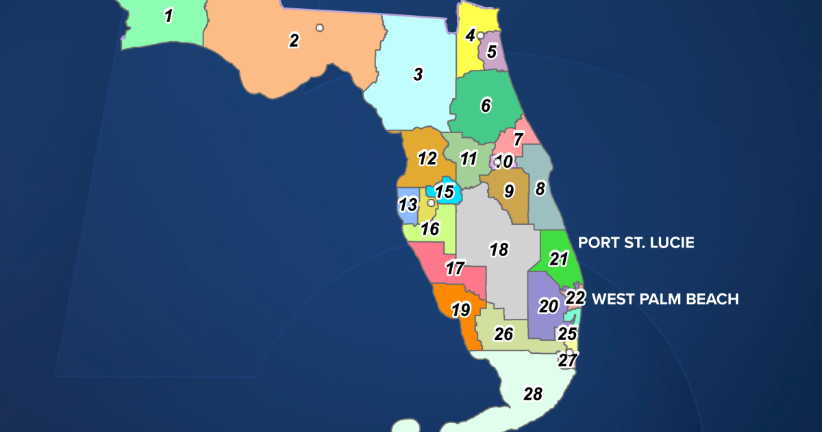 State judge strikes down congressional districting map in North Florida