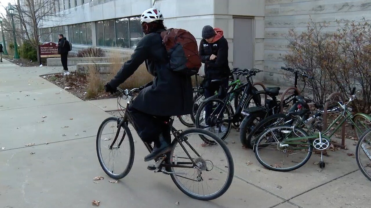iu bait bikes 3.jpg