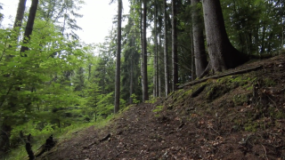 There’s nothing like a little time spent in the great outdoors, but doing so means making sure there aren’t any ticks trying to hitch a ride on you. A few simple steps, though, can go a long way into making sure you avoid their problematic bite.
