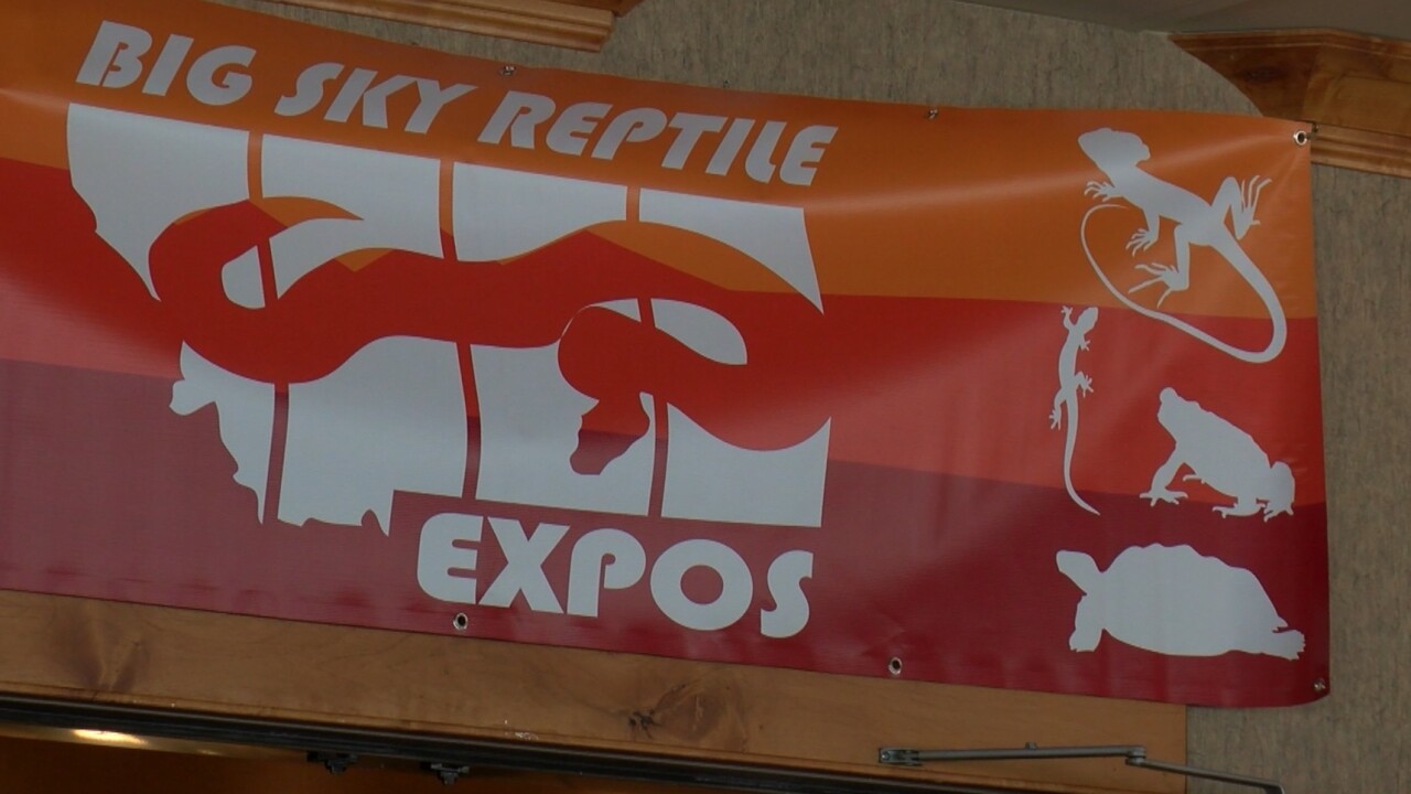 Big Sky Reptile Expo returns after pandemic