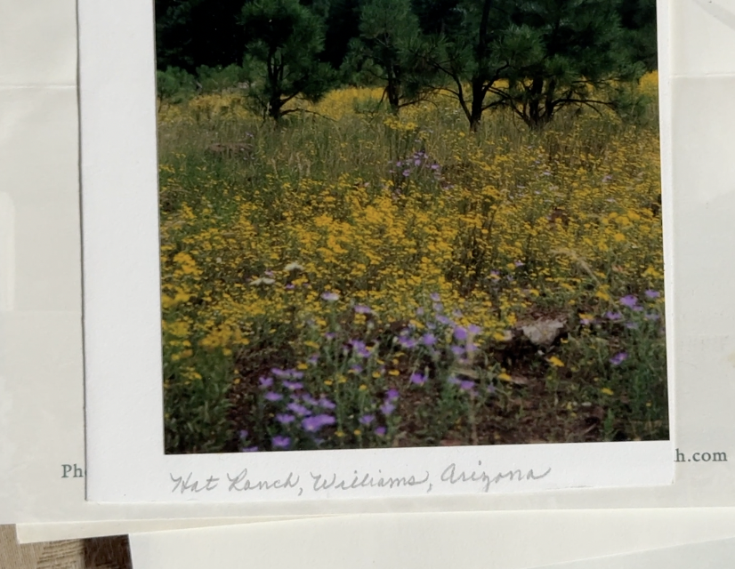 Screenshot 2026-03-09 at 4.38.36 AM.png