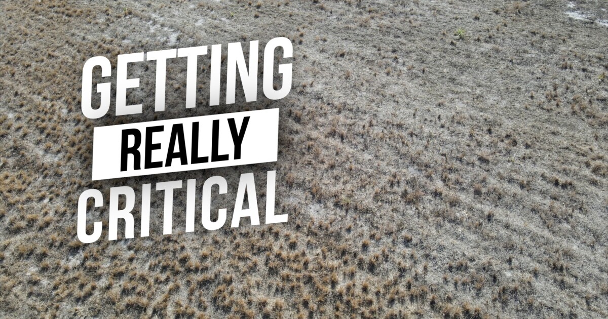 Environmental groups raise alarm as Lake Okeechobee water flows to sugar cane fields amid Florida drought