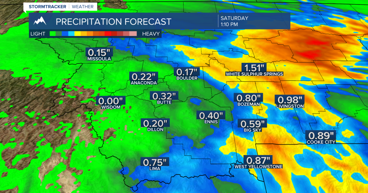 Cool wet weather sticking around through Friday night - Vimarsana News