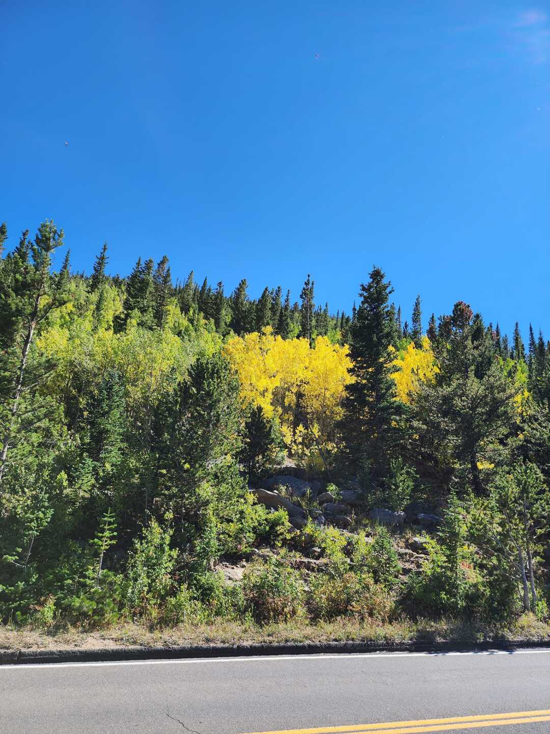 Rocky Mountain National Park | Photo by Israr Haq