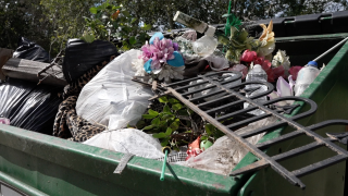 BEE CEMETERY.png