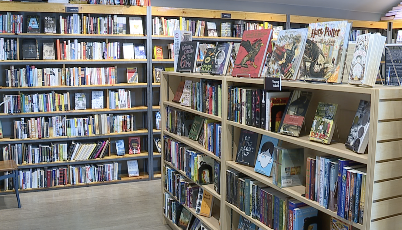 Book a private browsing session at Visible Voice Books