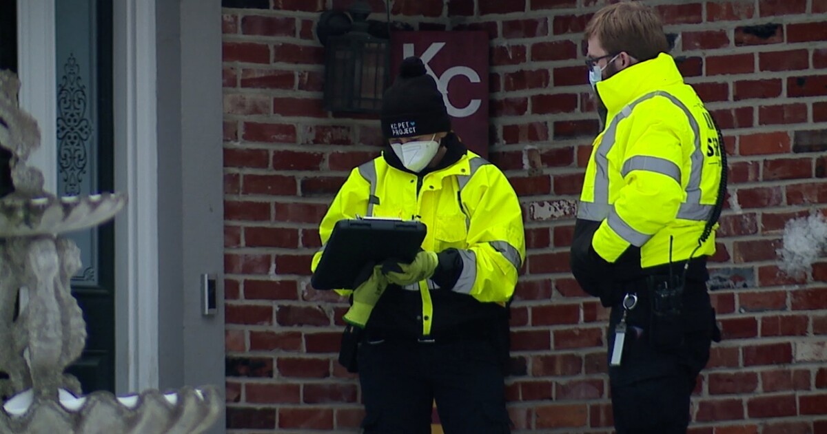 KCMO City Council votes to return animal control services to city ...