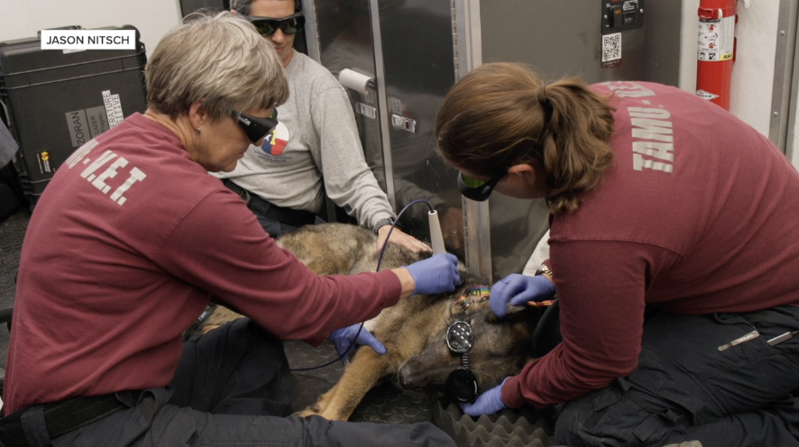 Texas A&M's Veterinary Emergency Team to receive $5 million in funding from State of Texas