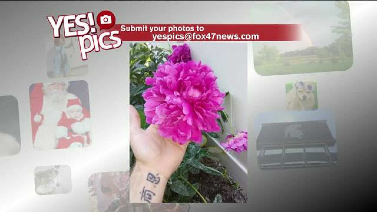 Yes! Pics: 7/24/18
