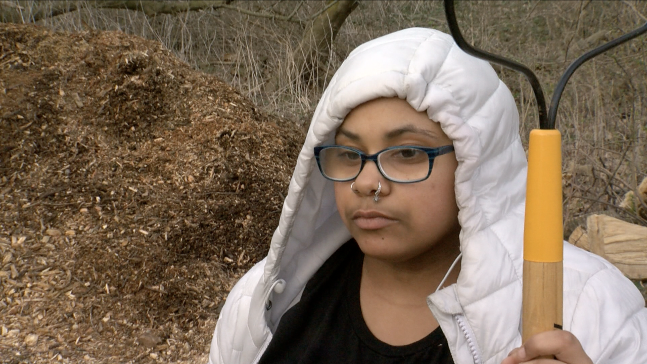 Screen Shot 2024-04-10 at 7.43.55 PM.png