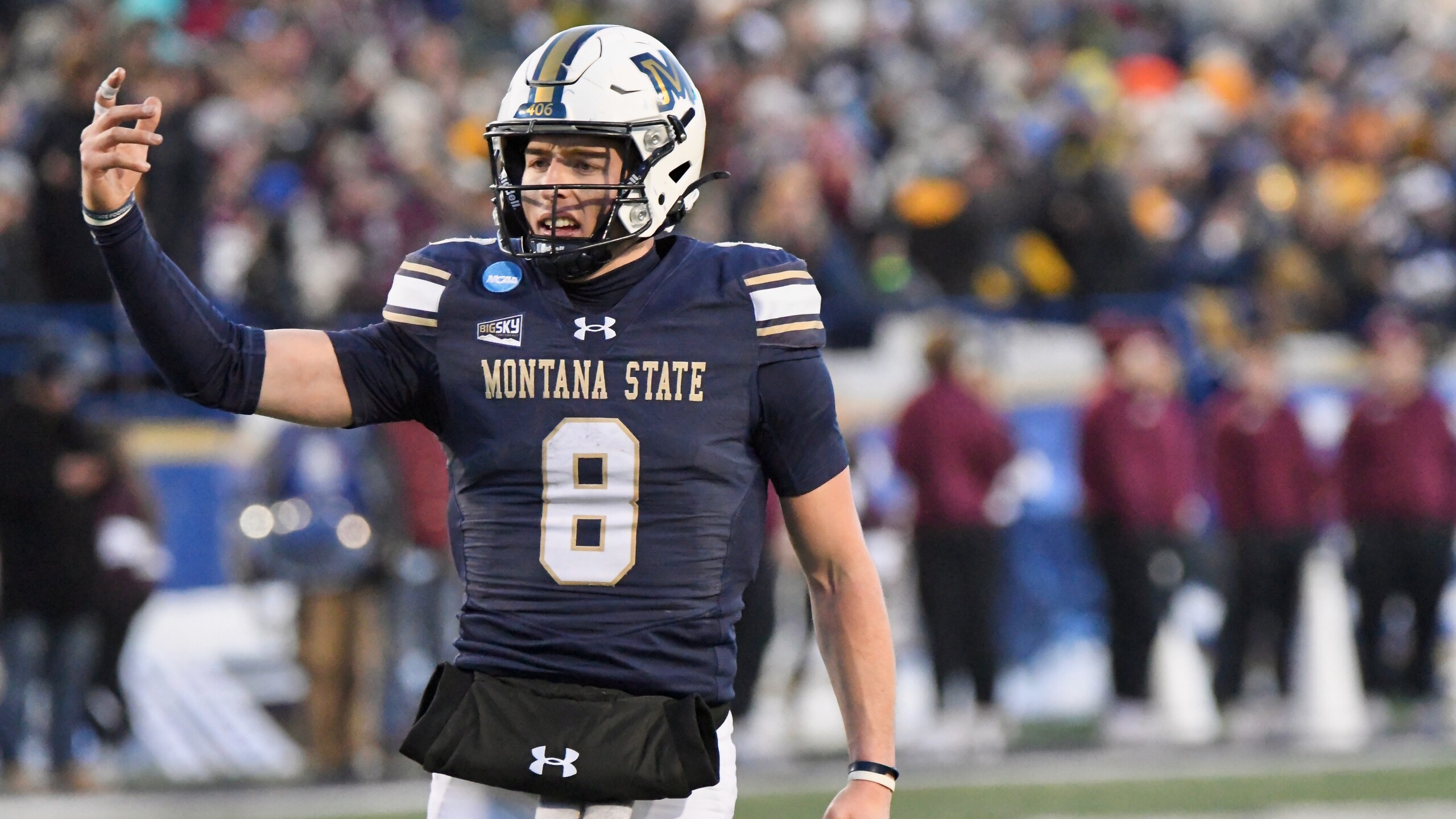 Montana at Montana State