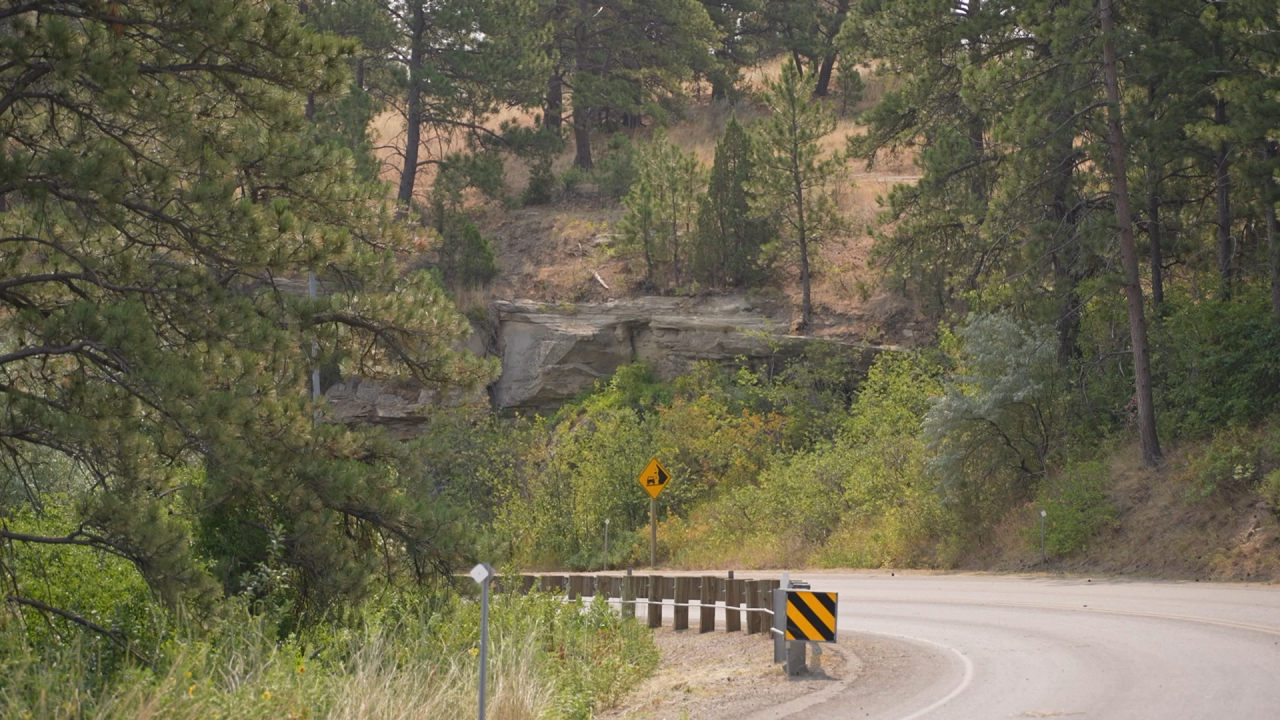 Zimmerman Trail maintenance