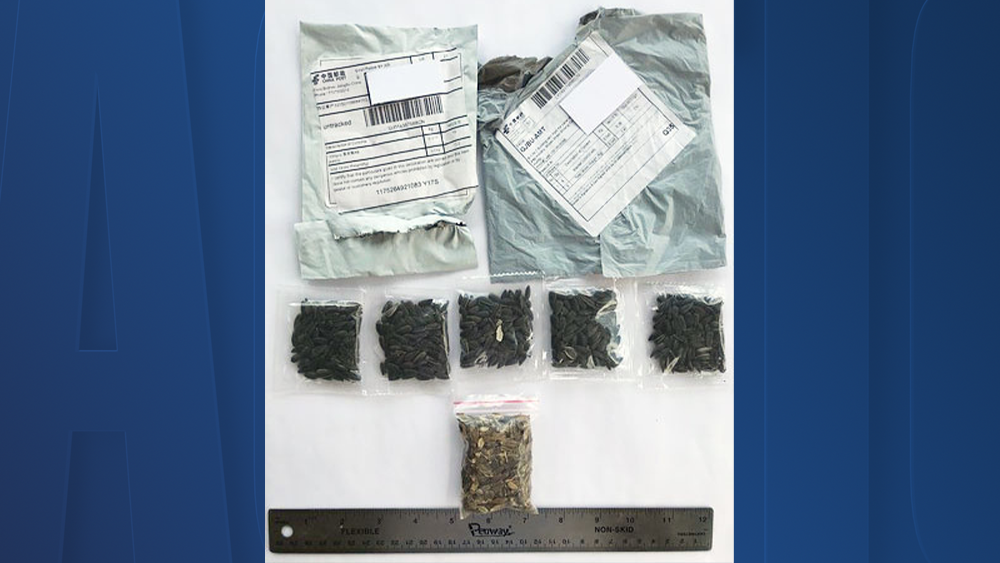 seeds-florida.png