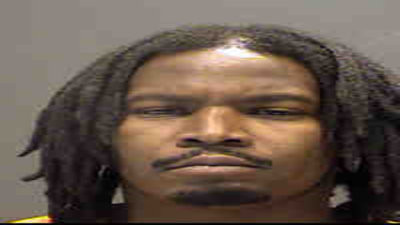PHOTOS: Check out 100+ mug shots from Tampa Bay