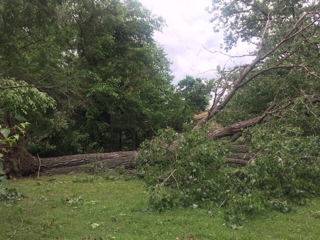 9034 S. Gary Damage 2.jpg