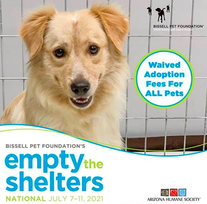 Screen Shot 2021-07-06 at 9.30.33 AM.png