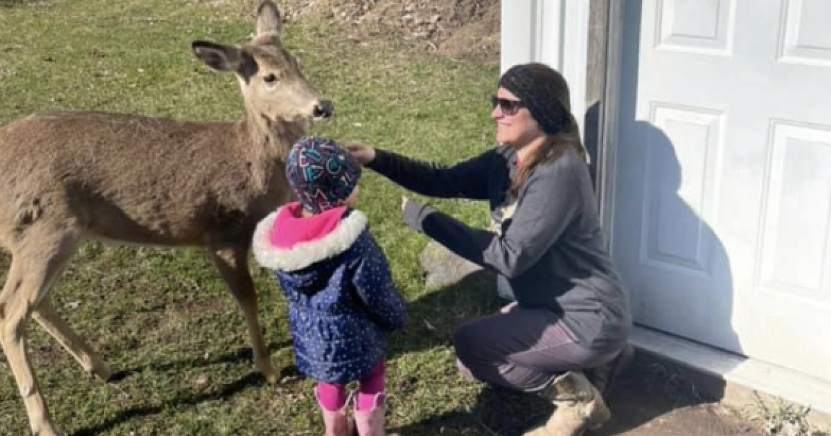 Pokagon officer fired after Lawrence deer incident, charges possible - Vimarsana News