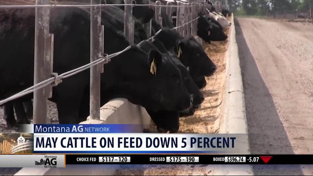 Montana Ag Network (Wednesday, May 27)