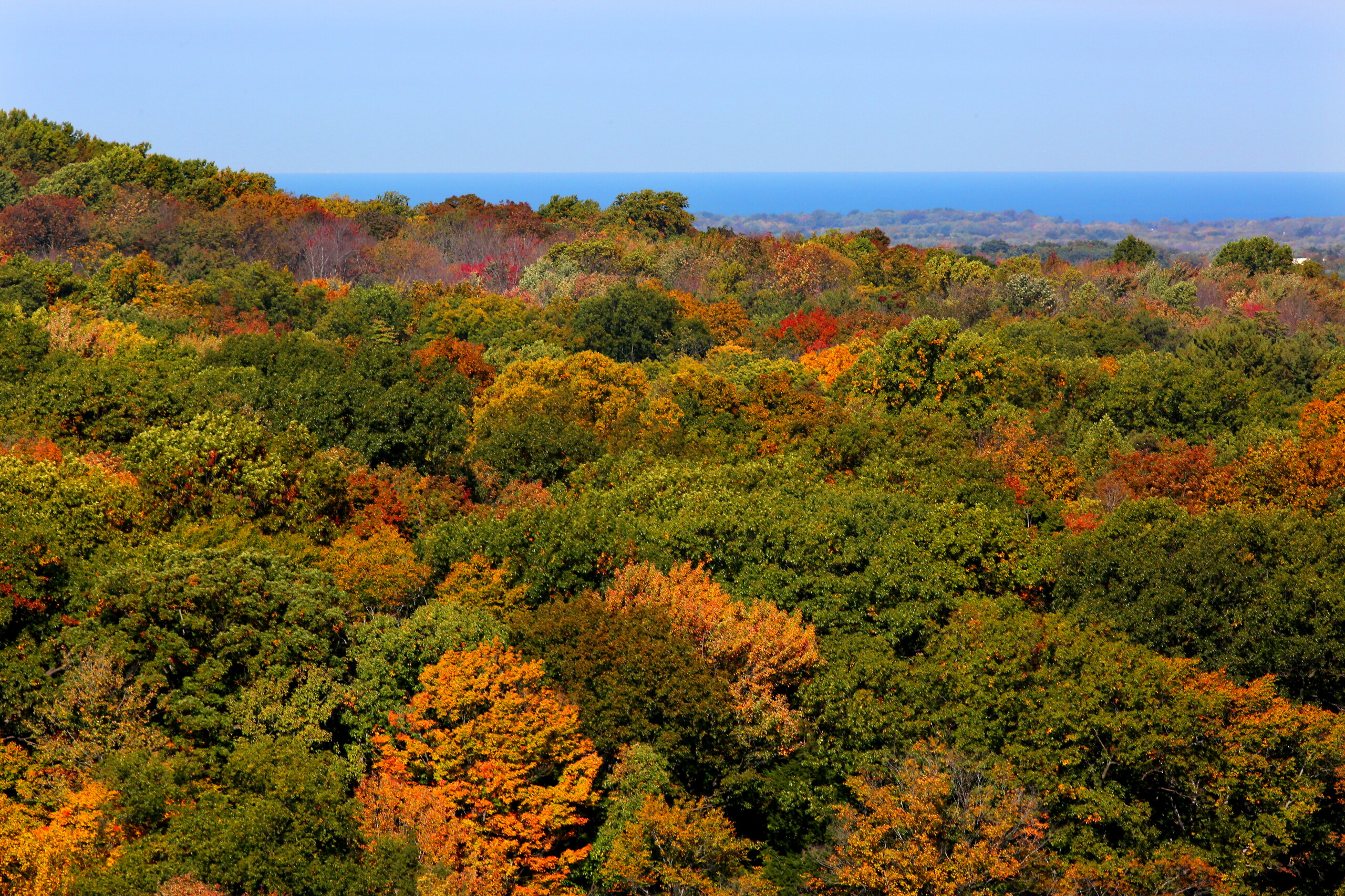The best places to see fall colors in Northeast Ohio