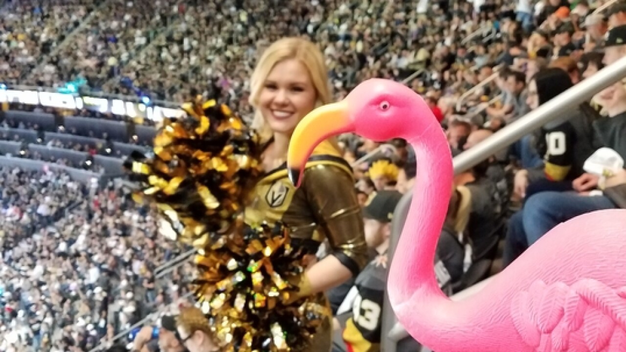 Meet the man who started the VGK flamingo toss