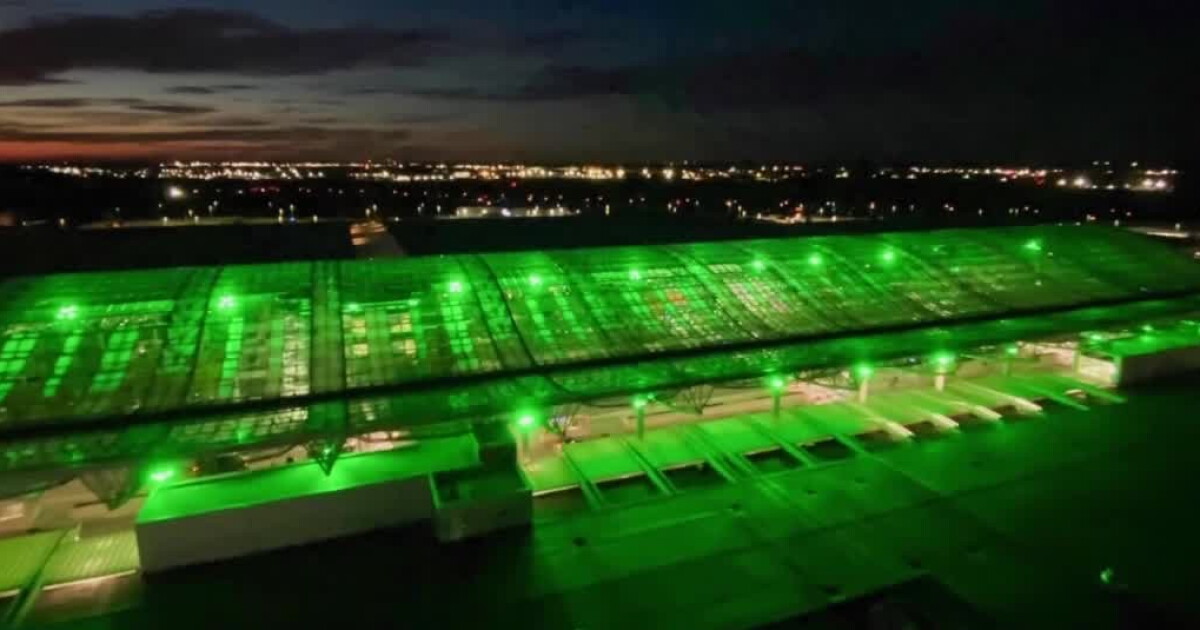 Operation Green Light to raise awareness of help available for veterans