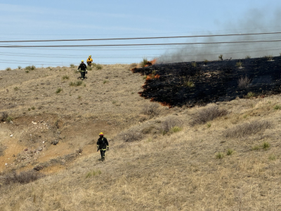 lone tree brush fire