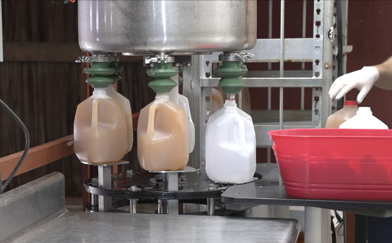 Cider being put into jugs