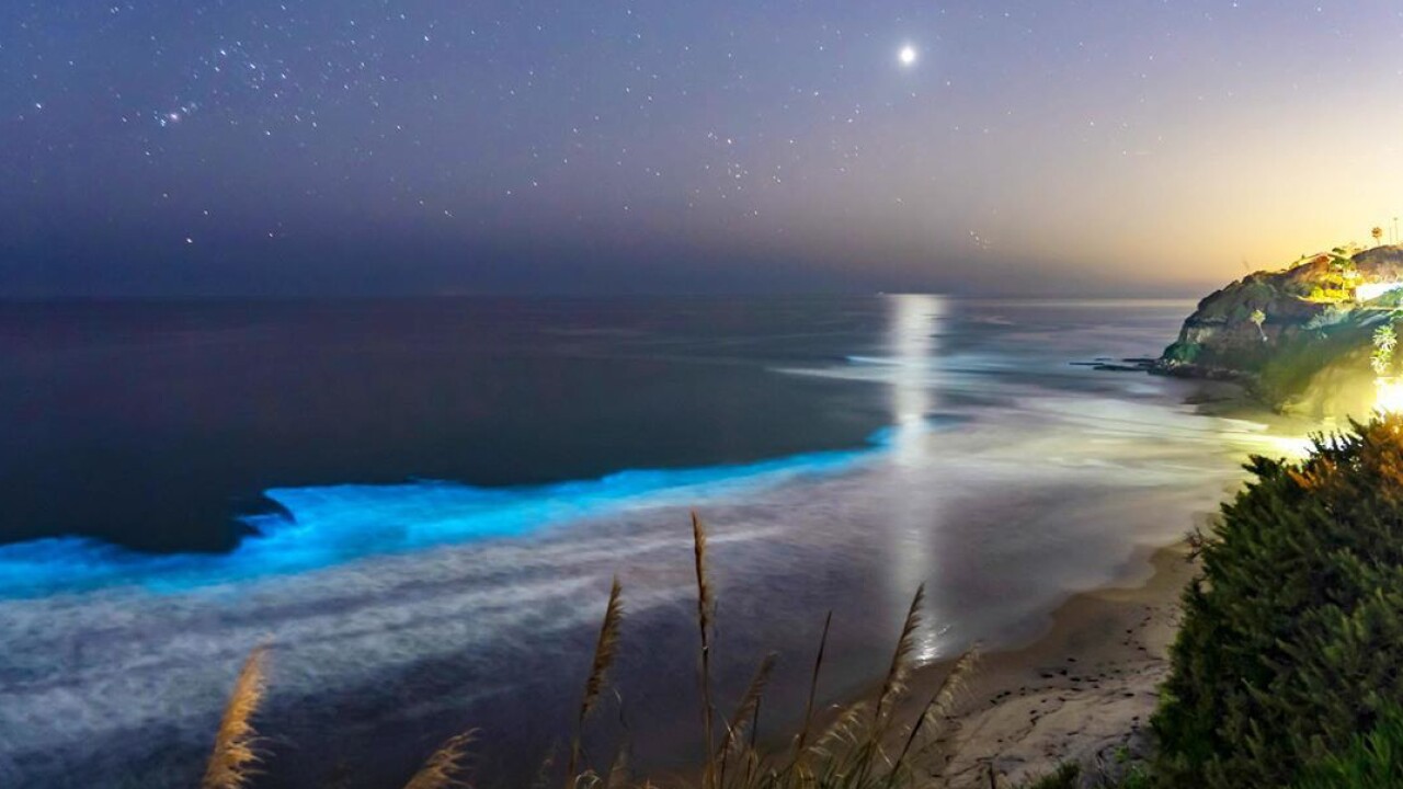 Bioluminescence tide captured along San Diego's coast