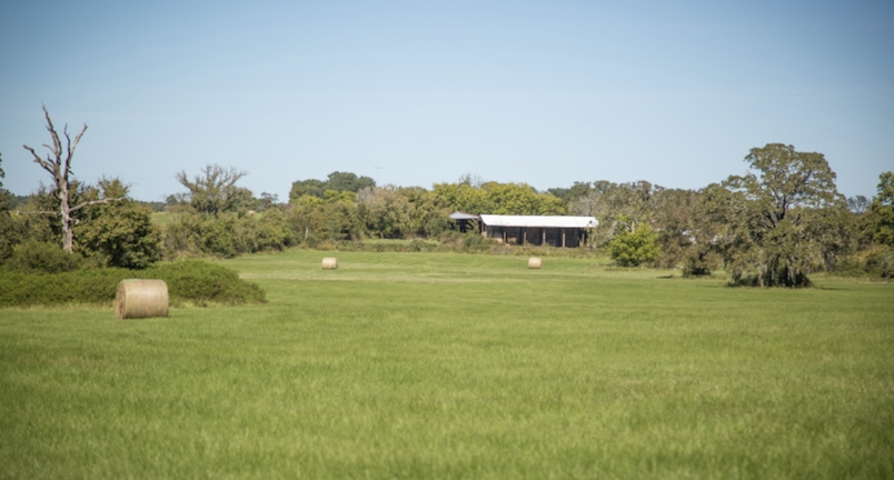 SpaceX Terafab neighbors face life-changing land buy offers outside reinvestment zone