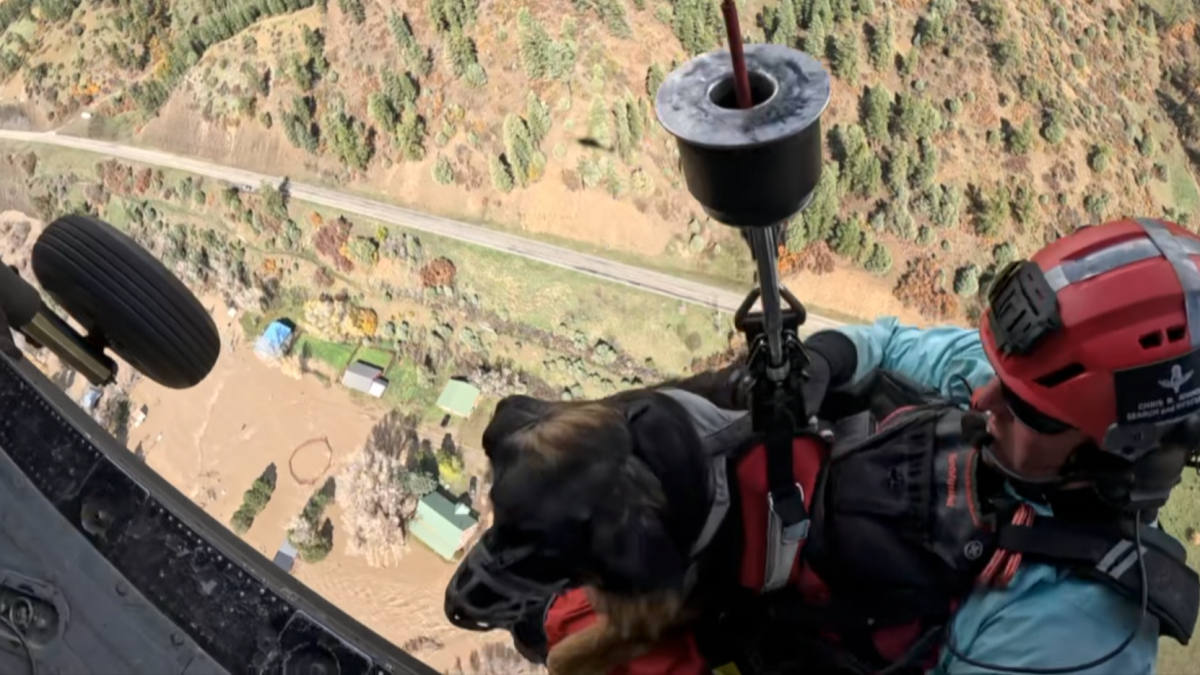 Colorado National Guard has helped rescue 50 people and 20 pets amid flooding