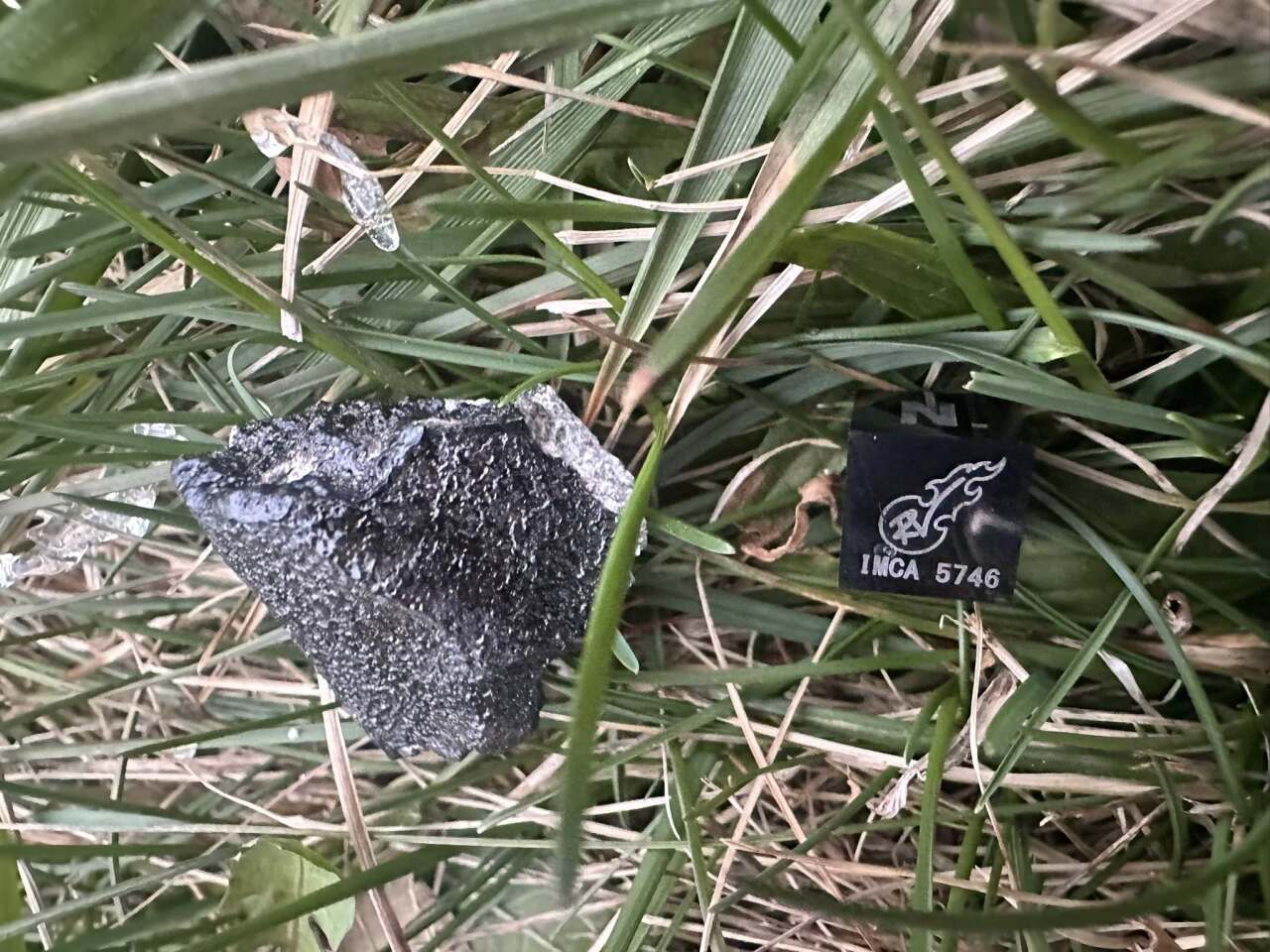 Roberto Vargas photo