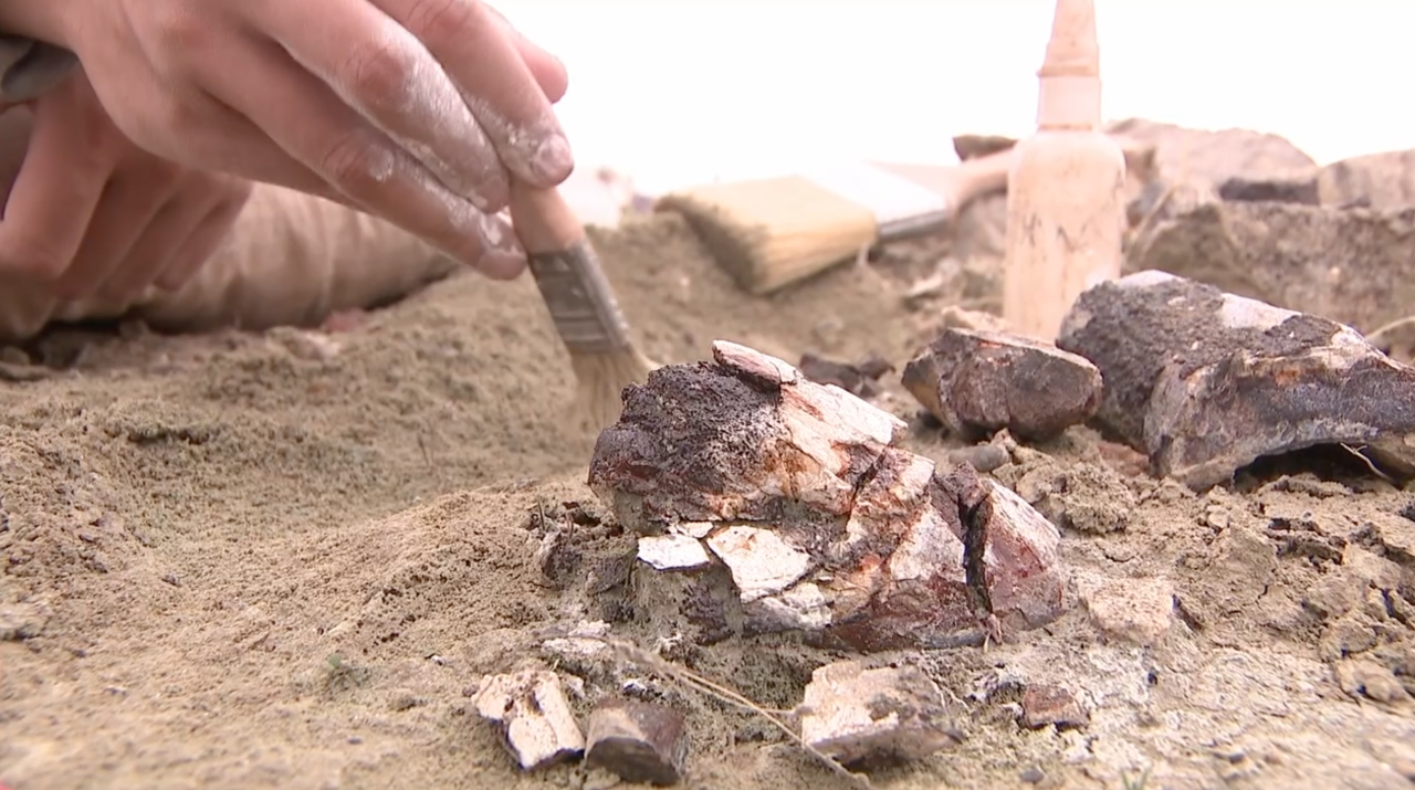 Dinosaur fossils Utah 1.png