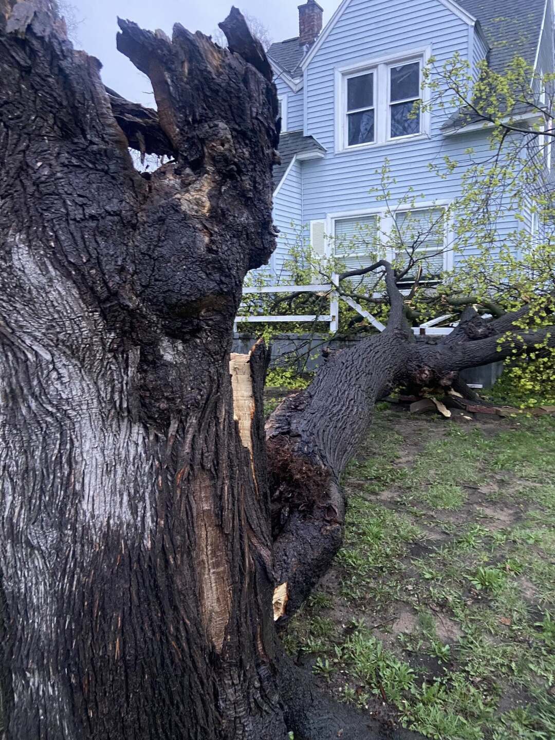 Kentwood, MI storm damage 