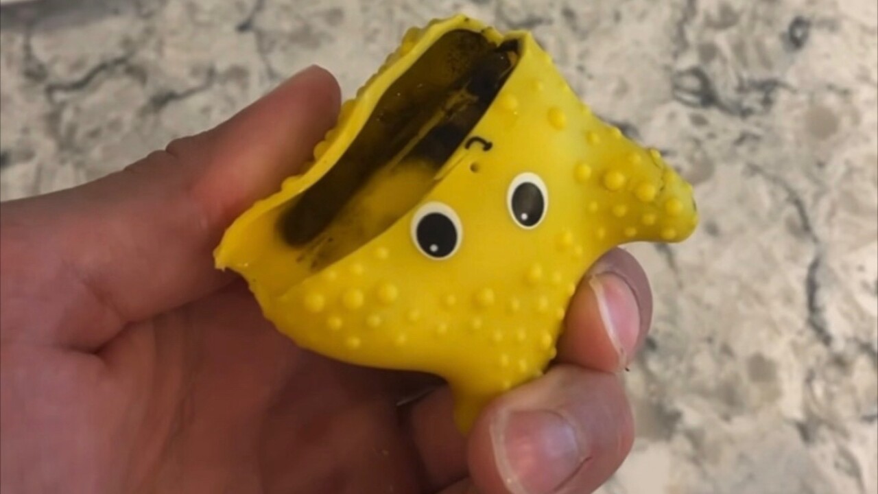 moldy bath toy