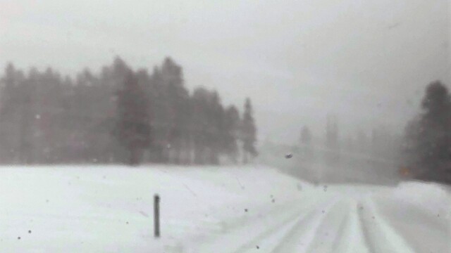 Bear Lake Road-Courtesy Rocky Mountain National Park.jpg