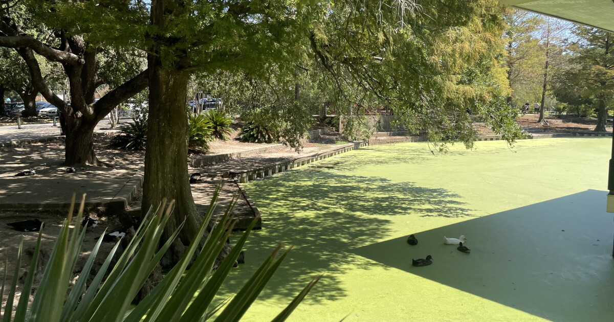 City looks into new aeration system to help clean out Girard Park's pond. - Vimarsana News