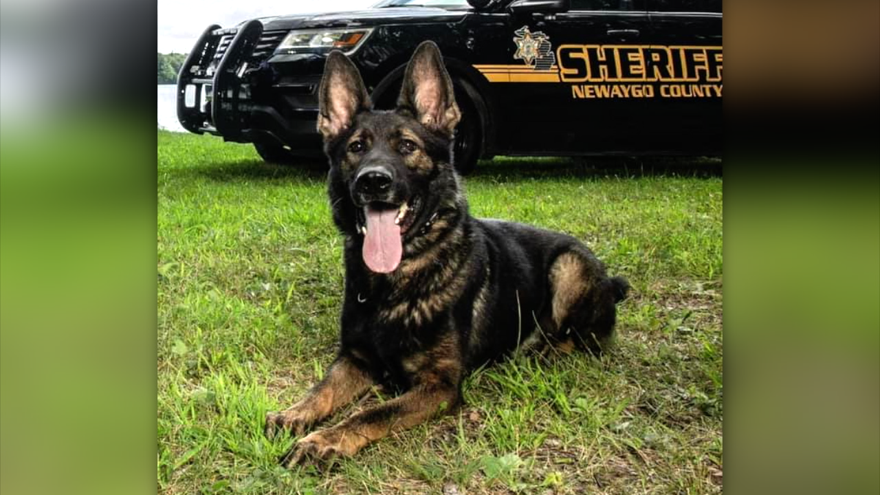 Newaygo County announces passing of beloved K9