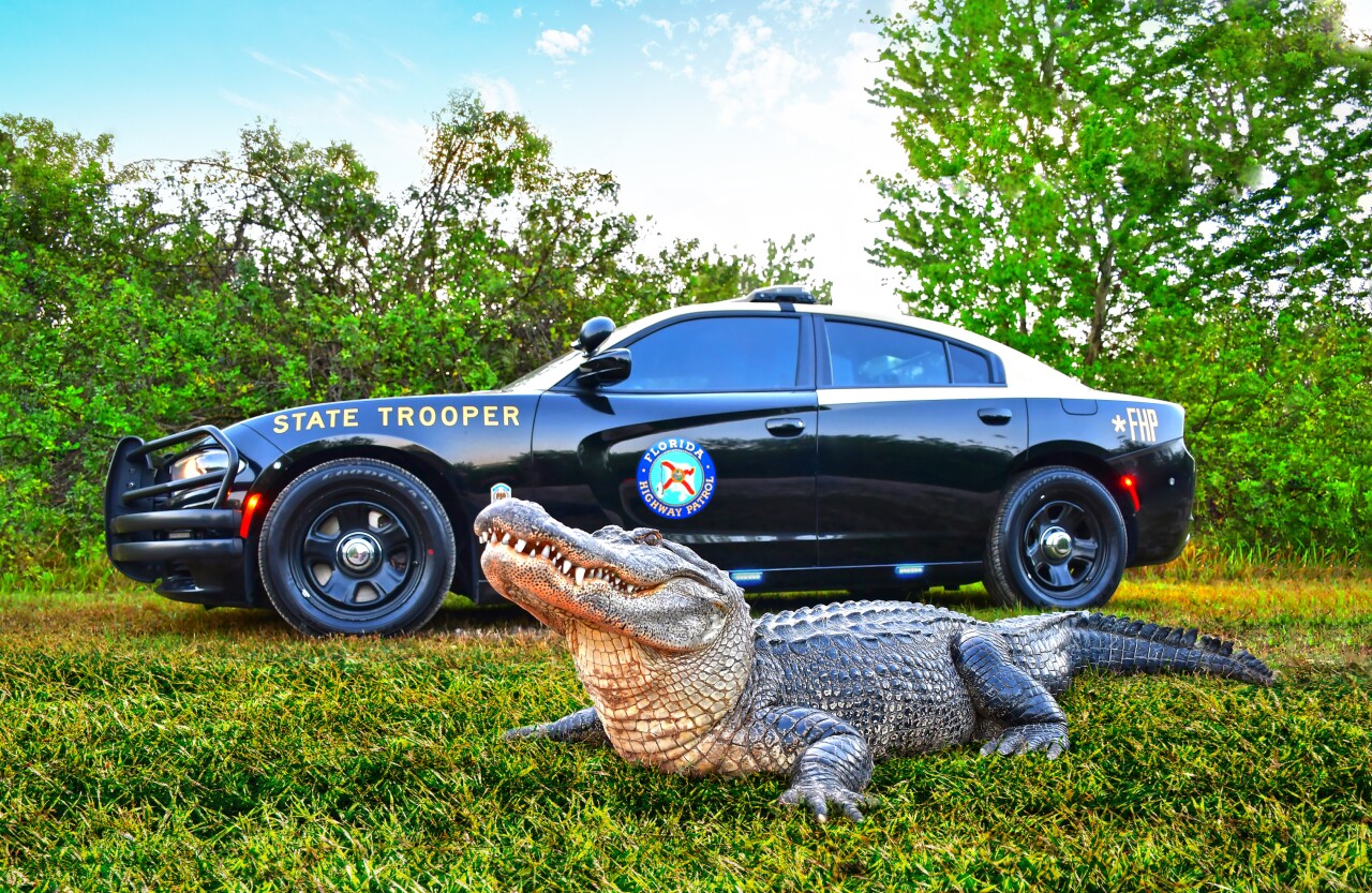 Trooper Gator FINAL.jpg