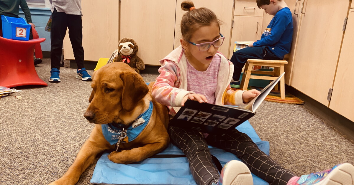 'People feel more comfortable': Students, staff welcome new school support dog - Vimarsana News