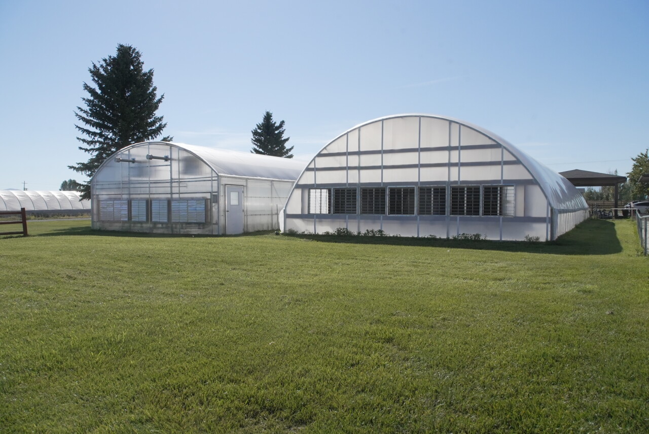 greenhouses